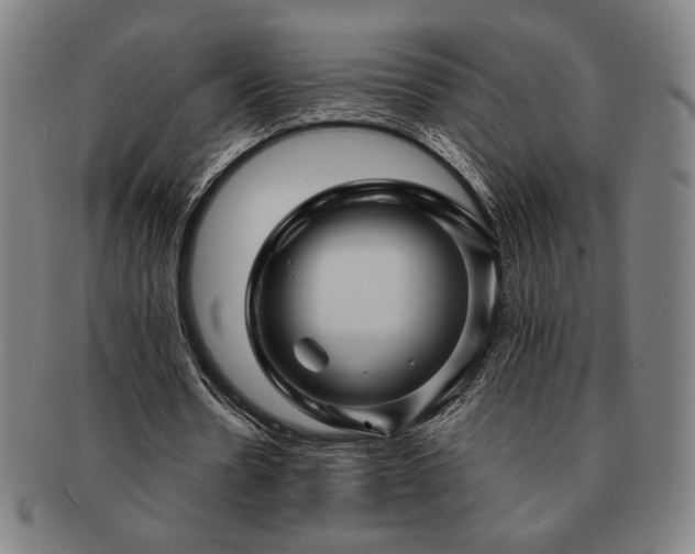 X0000091470530200708231340