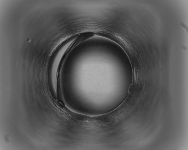 X0000091470531200708231340