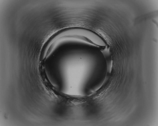 X0000091470532200708231340