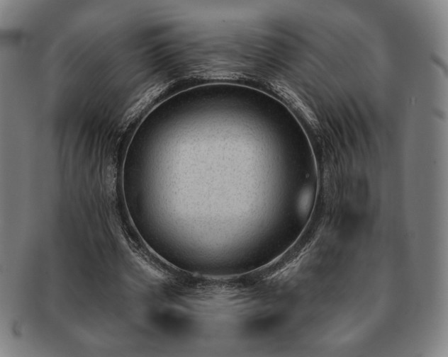 X0000091470533200708231340