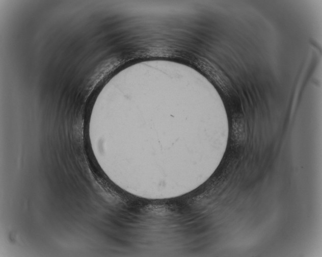 X0000091470534200708231340