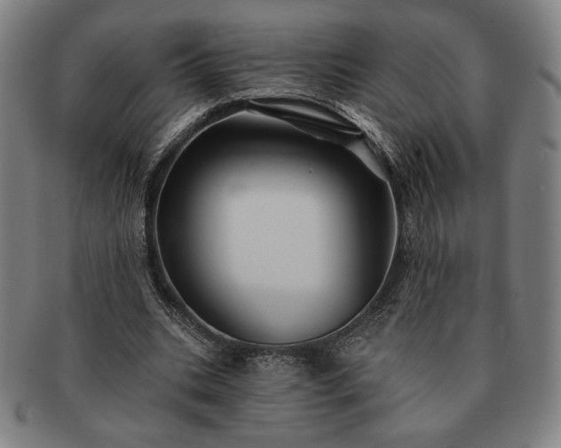 X0000091470535200708231340