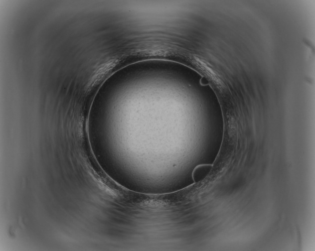 X0000091470537200708231340