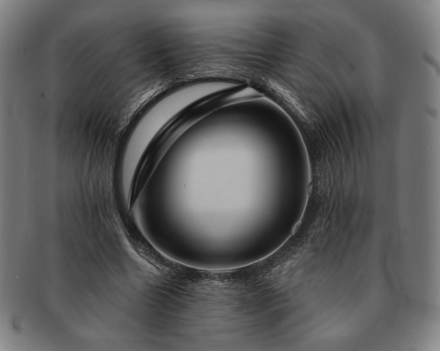 X0000091470538200708231340