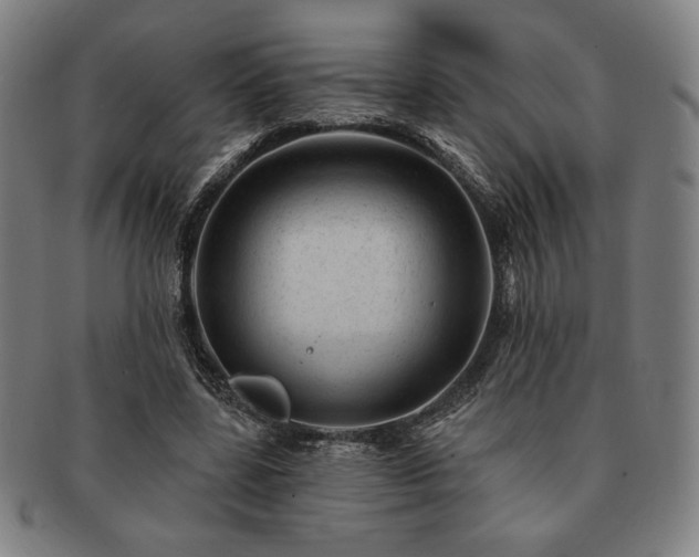 X0000091470539200708231340