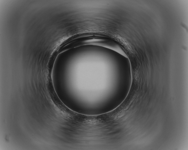 X0000091470540200708231340