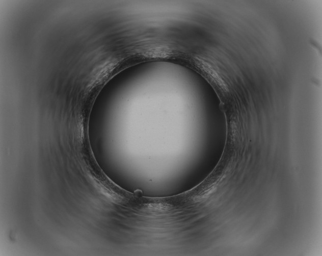 X0000091470541200708231340