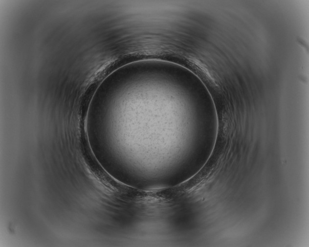 X0000091470542200708231340