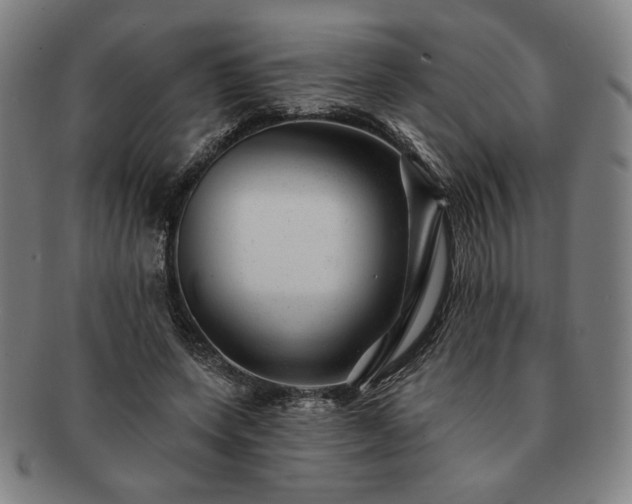 X0000091470543200708231340