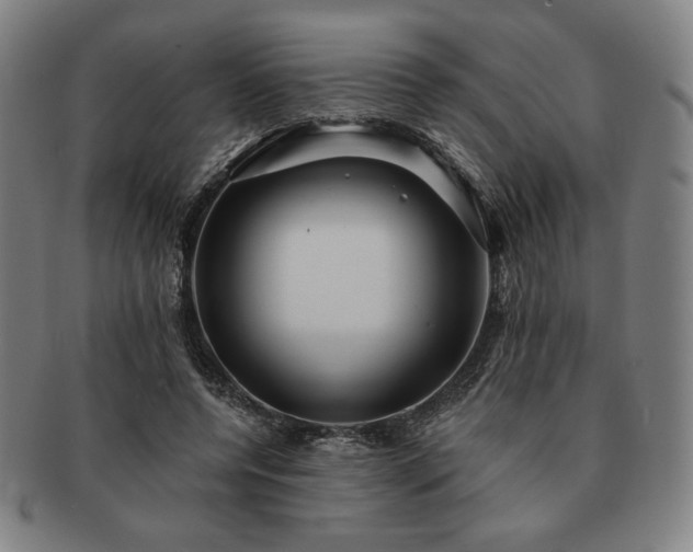 X0000091470544200708231340