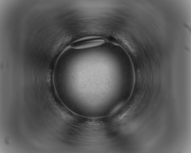 X0000091470545200708231340