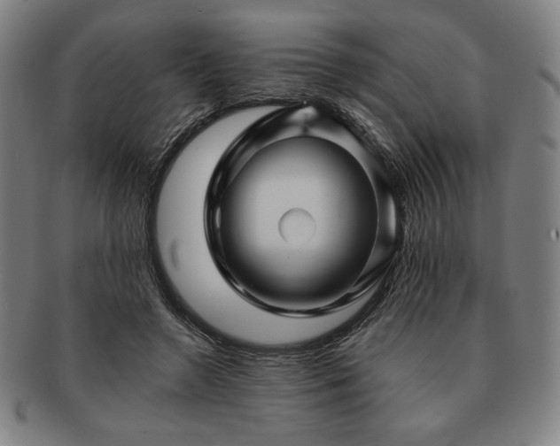 X0000091470546200708231340