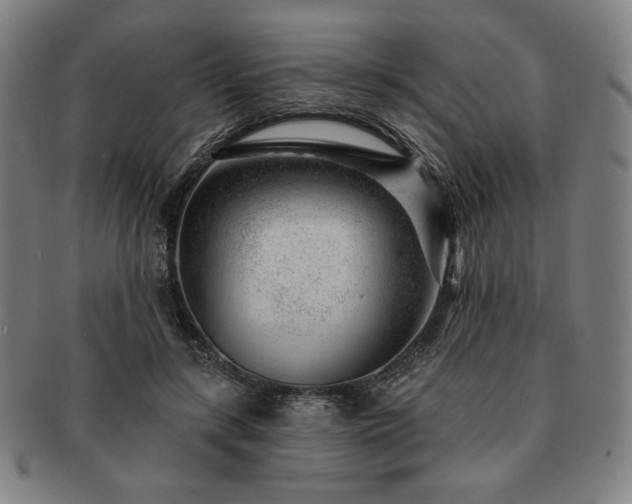 X0000091470547200708231340