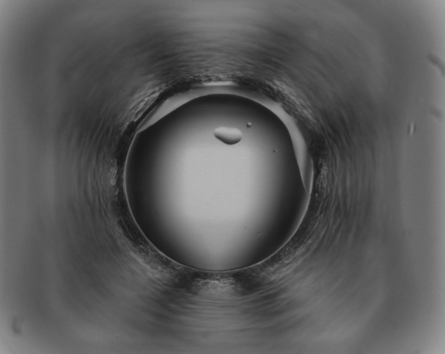 X0000091470548200708231340