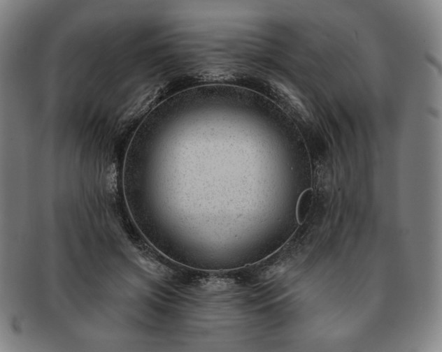 X0000091470549200708231340