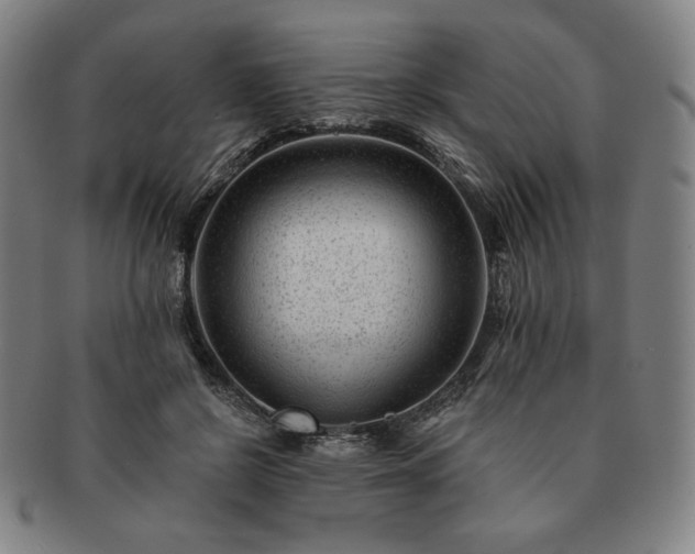 X0000091470550200708231340