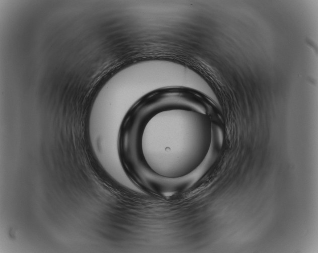 X0000091470552200708231340