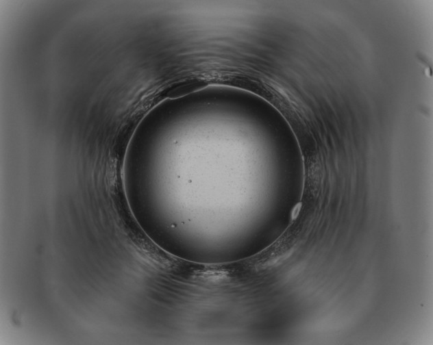 X0000091470554200708231340