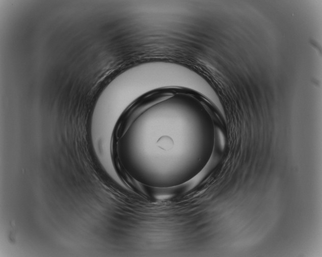 X0000091470556200708231341