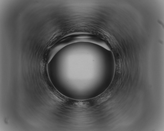 X0000091470558200708231341