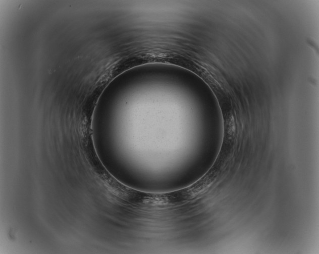 X0000091470559200708231341