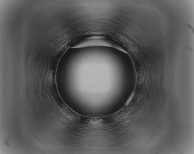 X0000091470560200708231341