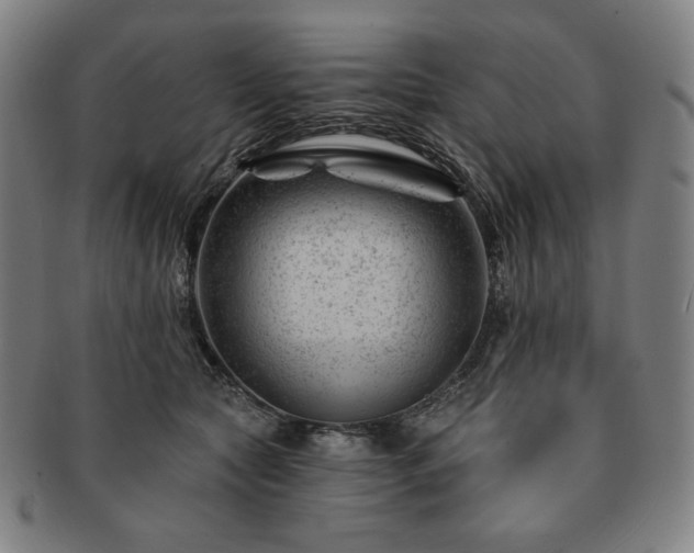 X0000091470561200708231341