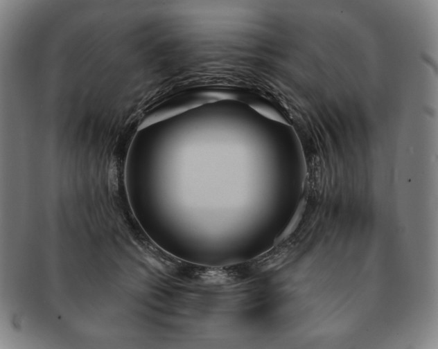 X0000091470562200708231341