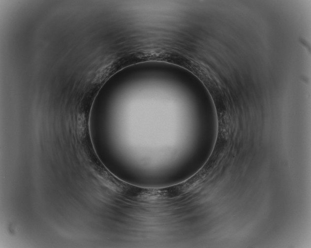 X0000091470563200708231341