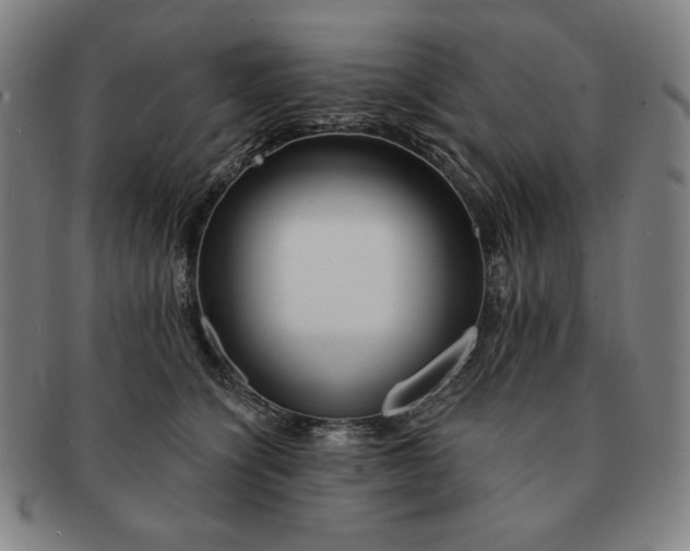 X0000091470564200708231341