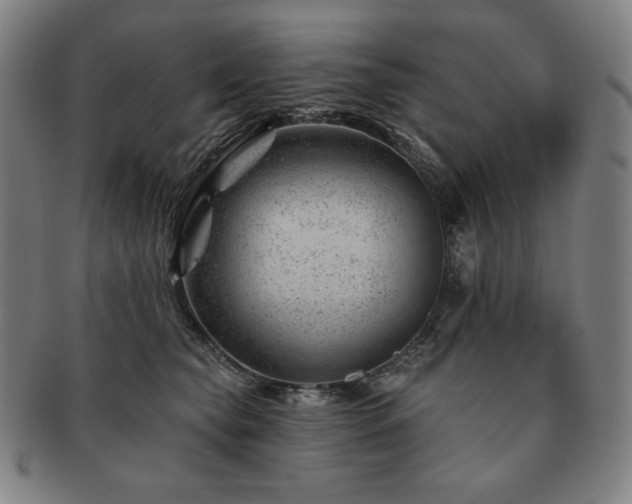 X0000091470565200708231341