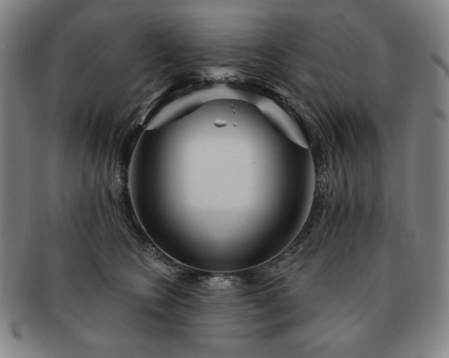 X0000091470566200708231341