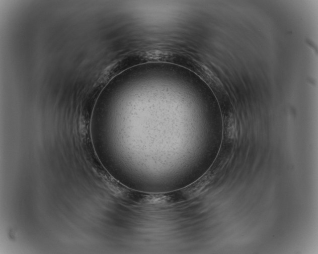 X0000091470569200708231341