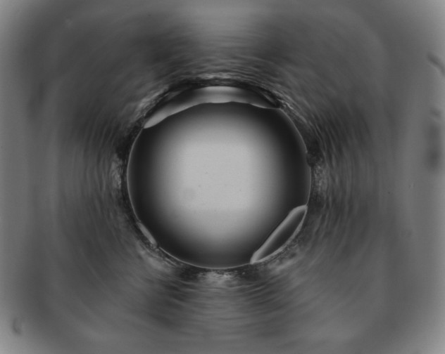 X0000091470570200708231341