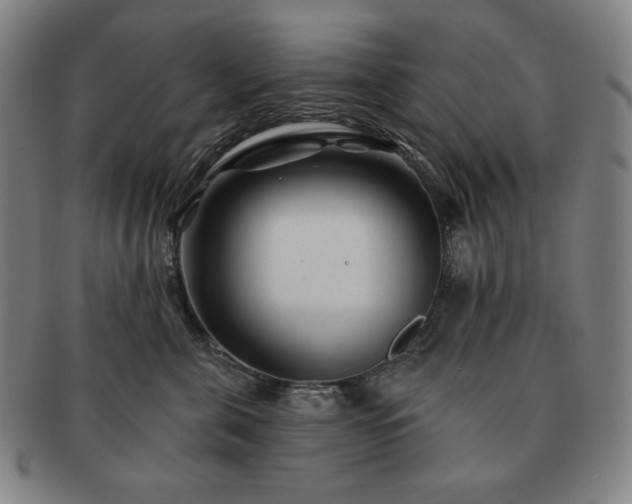 X0000091470571200708231341