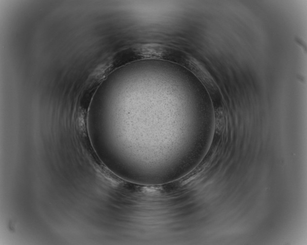 X0000091470573200708231341