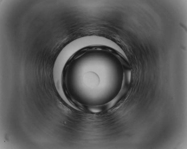 X0000091470574200708231341