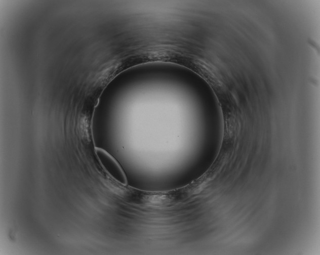 X0000091470575200708231341