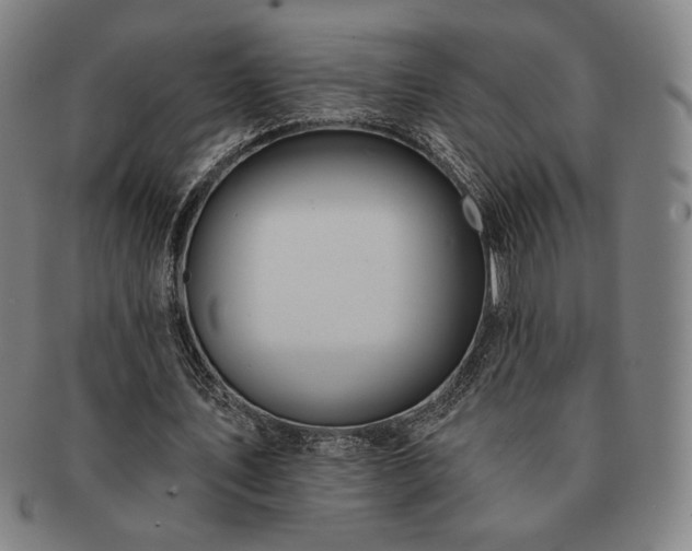 X0000091470579200708231340