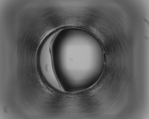 X0000091470580200708231340