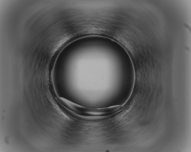 X0000091470581200708231340