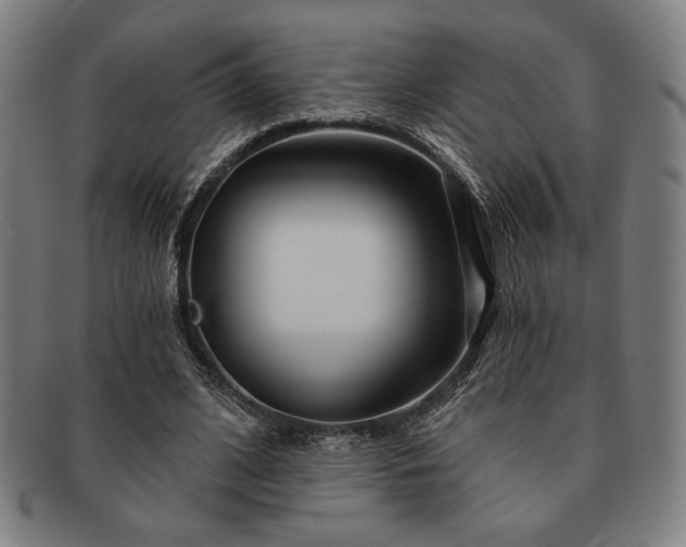 X0000091470584200708231340