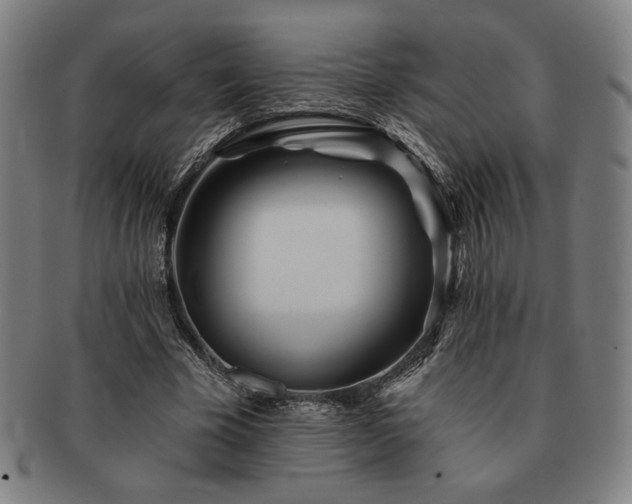 X0000091470585200708231340