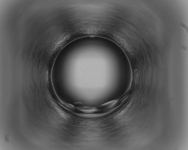 X0000091470589200708231340