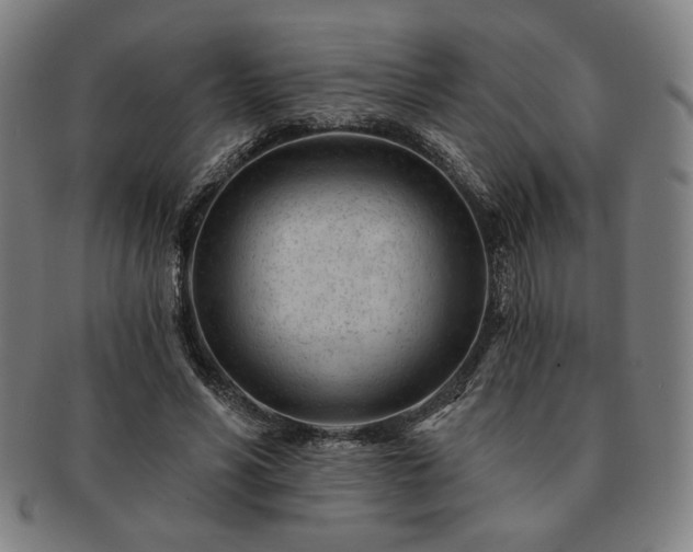 X0000091470590200708231340