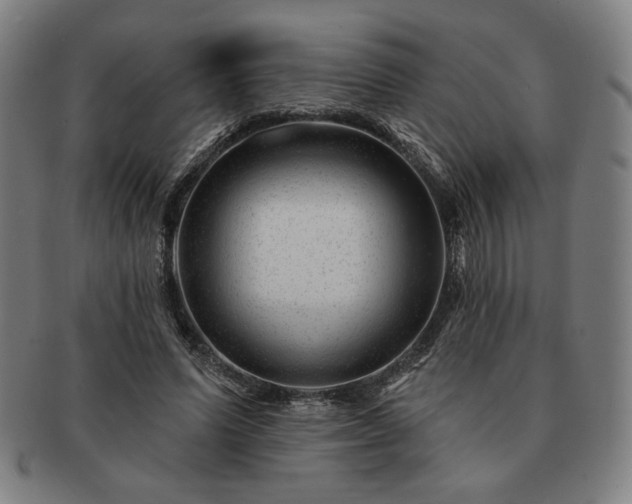 X0000091470591200708231340