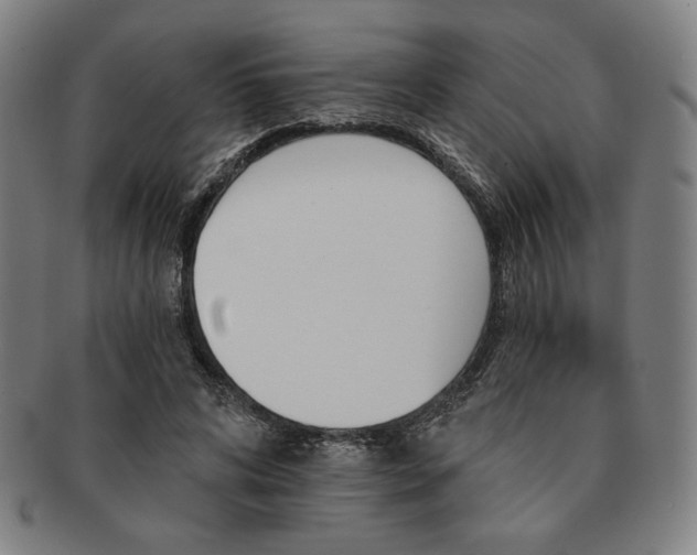 X0000091470592200708231340