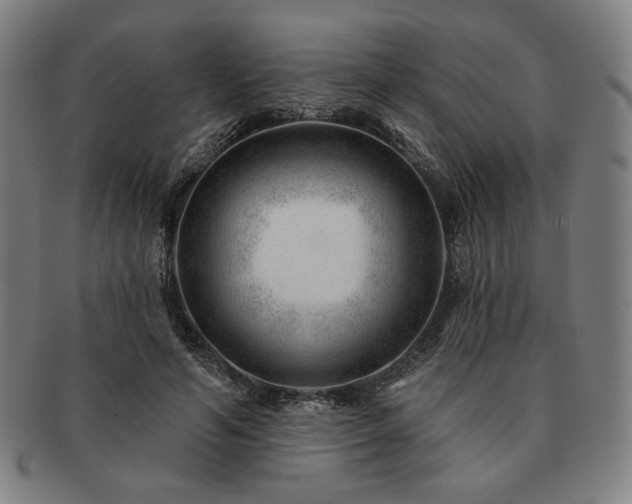 X0000091470594200708231340