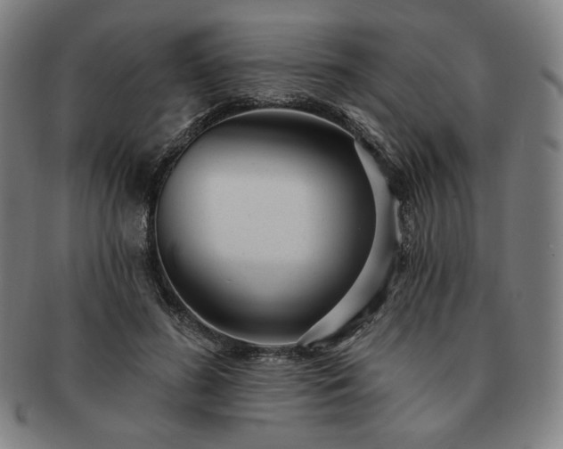 X0000091470596200708231340