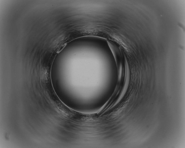 X0000091470597200708231340